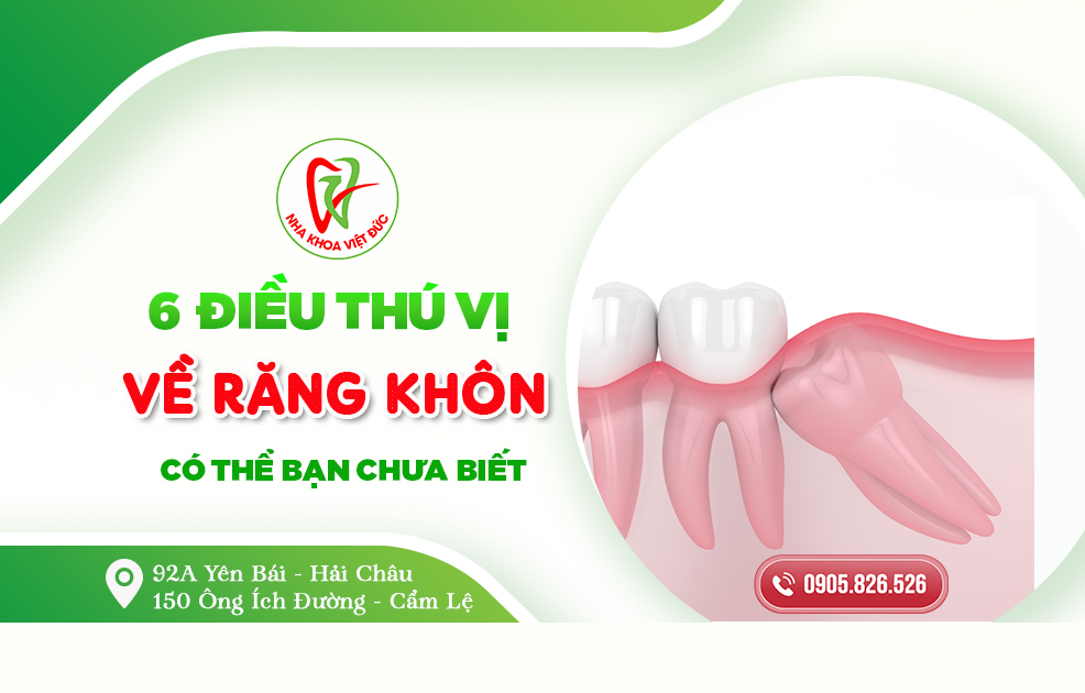 6 ĐIỀU THÚ VỊ VỀ RĂNG KHÔN CÓ THỂ BẠN CHƯA BIẾT